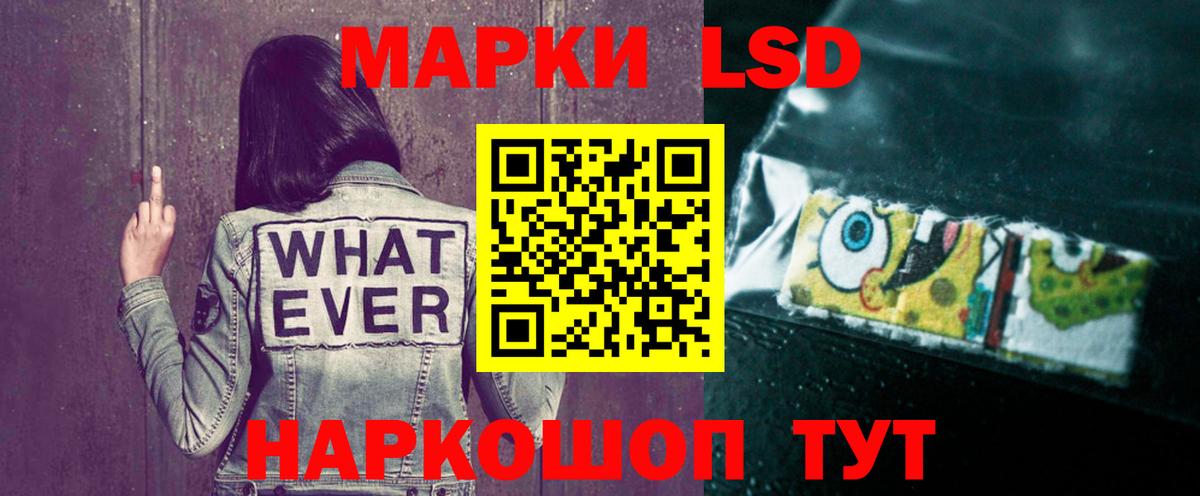 Камень-на-Оби  Лсд 25 экстази кислота  Вход с VPN 